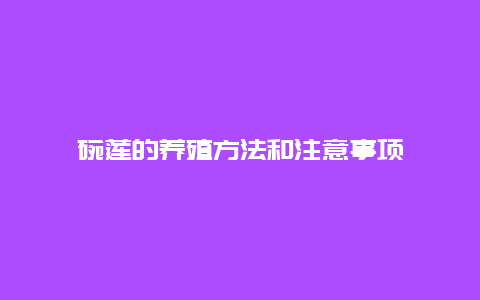 碗莲的养殖方法和注意事项