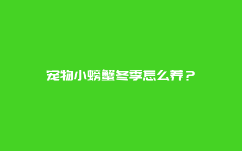 宠物小螃蟹冬季怎么养？