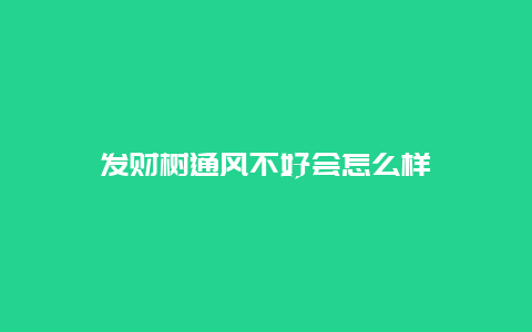 发财树通风不好会怎么样