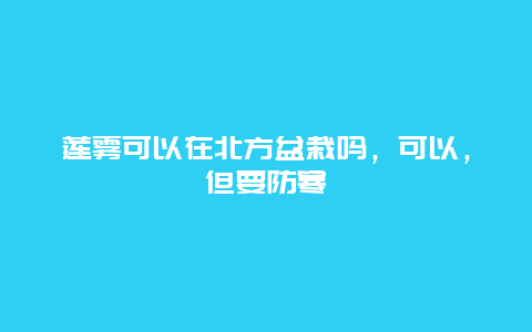 莲雾可以在北方盆栽吗，可以，但要防寒