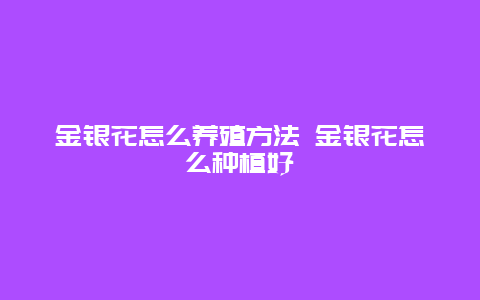 金银花怎么养殖方法 金银花怎么种植好