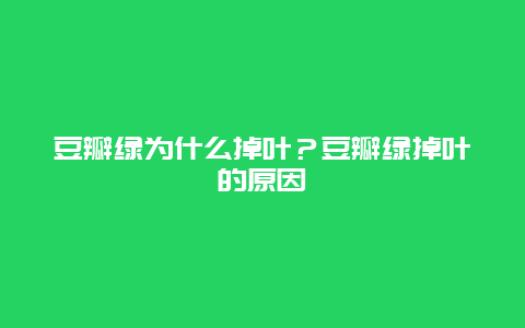 豆瓣绿为什么掉叶？豆瓣绿掉叶的原因