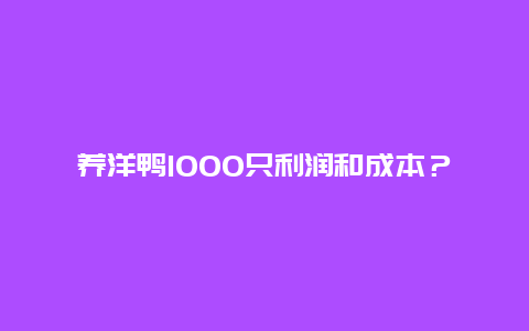 养洋鸭1000只利润和成本？