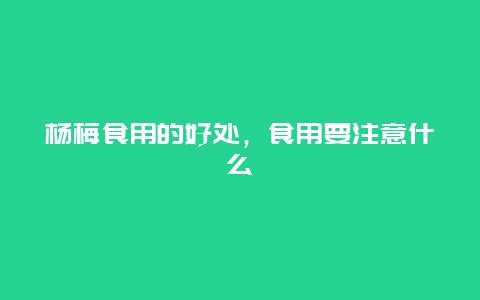 杨梅食用的好处，食用要注意什么