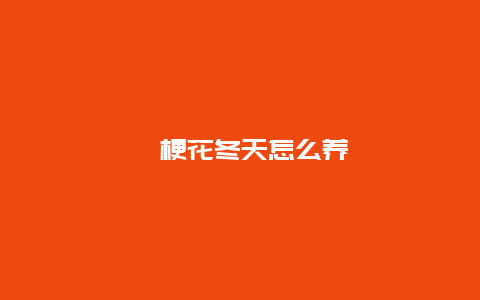 桔梗花冬天怎么养