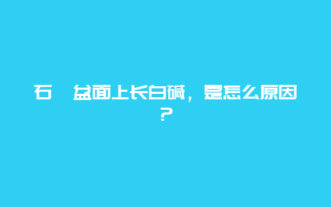 石斛盆面上长白碱，是怎么原因？