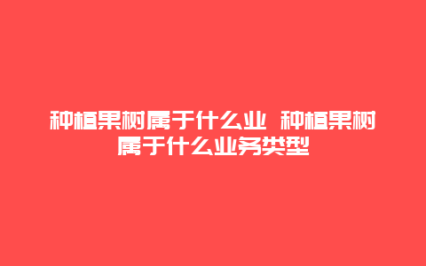 种植果树属于什么业 种植果树属于什么业务类型