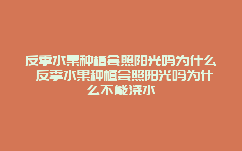 反季水果种植会照阳光吗为什么 反季水果种植会照阳光吗为什么不能浇水