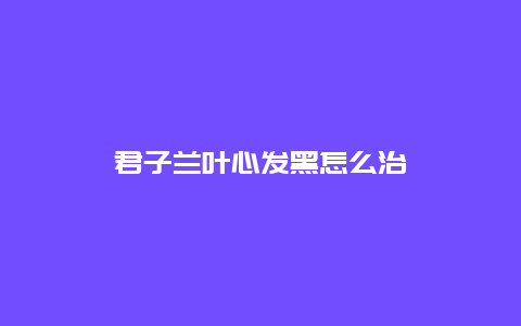 君子兰叶心发黑怎么治