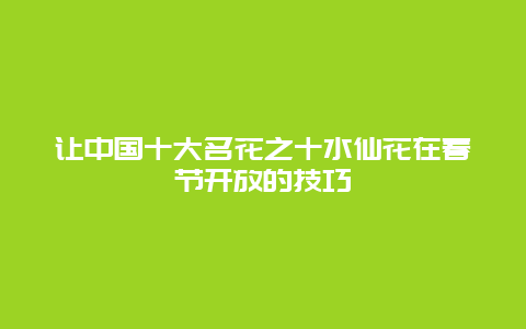 让中国十大名花之十水仙花在春节开放的技巧