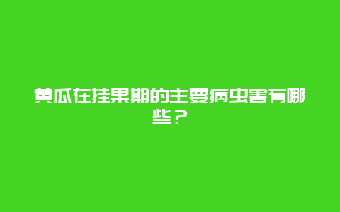 黄瓜在挂果期的主要病虫害有哪些？