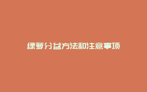 绿萝分盆方法和注意事项