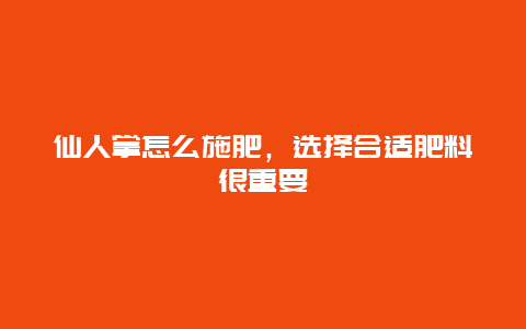 仙人掌怎么施肥，选择合适肥料很重要