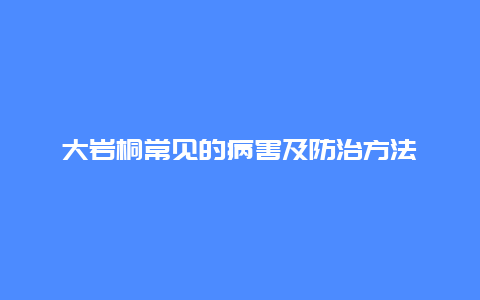 大岩桐常见的病害及防治方法