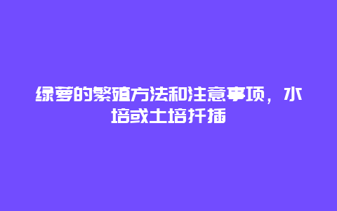 绿萝的繁殖方法和注意事项，水培或土培扦插