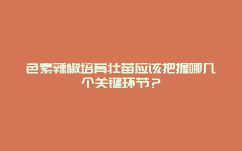 色素辣椒培育壮苗应该把握哪几个关键环节？