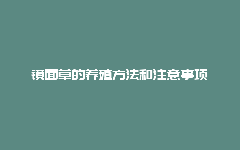 镜面草的养殖方法和注意事项