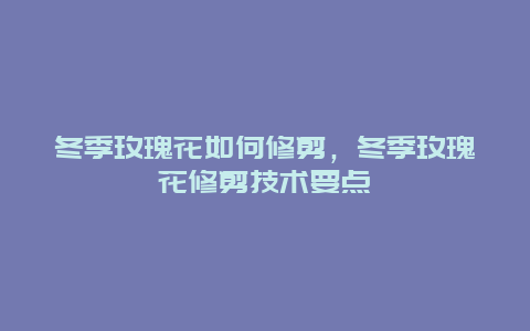 冬季玫瑰花如何修剪，冬季玫瑰花修剪技术要点