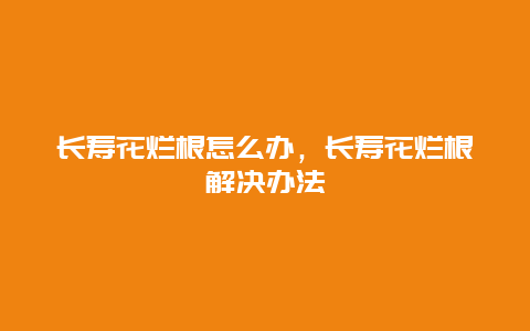 长寿花烂根怎么办，长寿花烂根解决办法