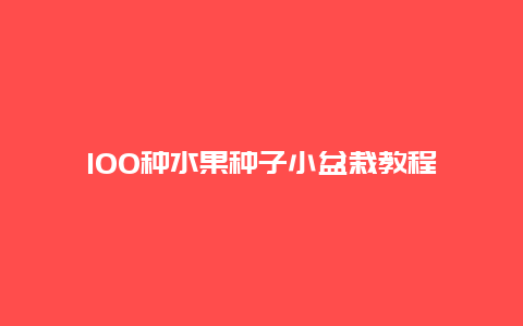 100种水果种子小盆栽教程