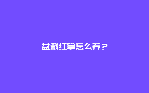 盆栽红掌怎么养？