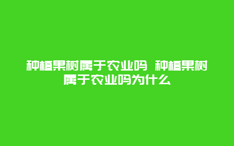 种植果树属于农业吗 种植果树属于农业吗为什么