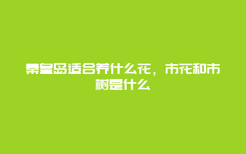 秦皇岛适合养什么花，市花和市树是什么