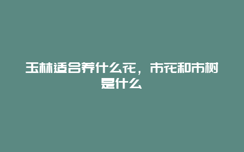 玉林适合养什么花，市花和市树是什么