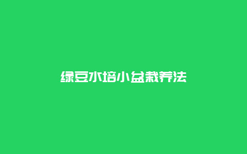 绿豆水培小盆栽养法