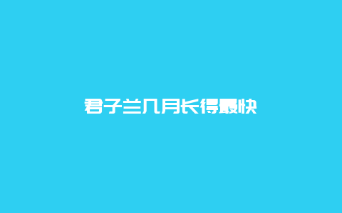 君子兰几月长得最快