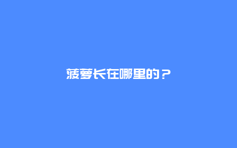 菠萝长在哪里的？