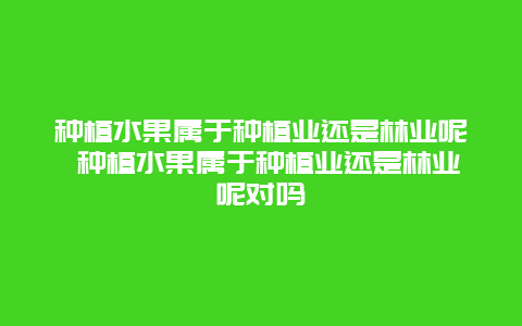 种植水果属于种植业还是林业呢 种植水果属于种植业还是林业呢对吗