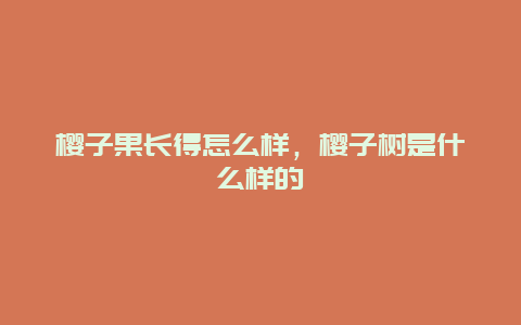 樱子果长得怎么样，樱子树是什么样的