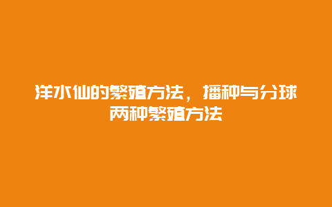 洋水仙的繁殖方法，播种与分球两种繁殖方法