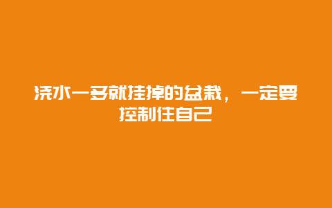 浇水一多就挂掉的盆栽，一定要控制住自己