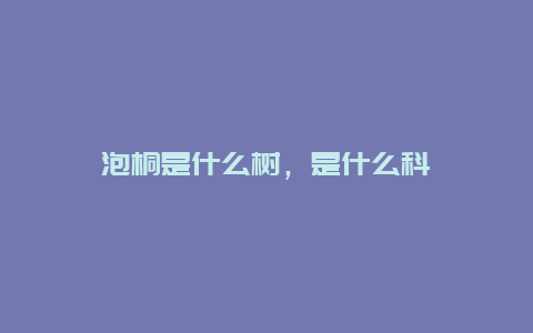 泡桐是什么树，是什么科