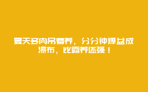 夏天多肉吊着养，分分钟爆盆成瀑布，比露养还强！