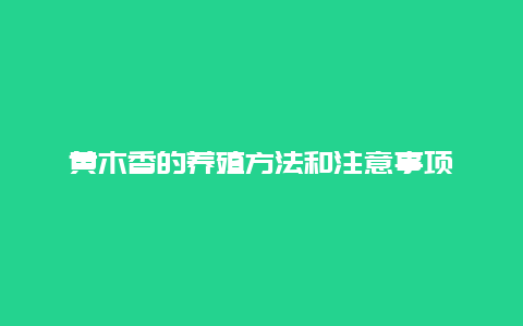 黄木香的养殖方法和注意事项