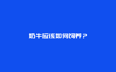 奶牛应该如何饲养？