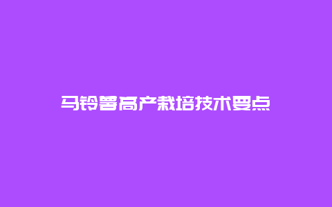 马铃薯高产栽培技术要点