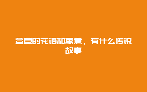 萱草的花语和寓意，有什么传说故事