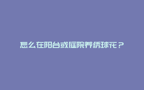 怎么在阳台或庭院养绣球花？