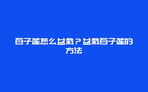 百子莲怎么盆栽？盆栽百子莲的方法