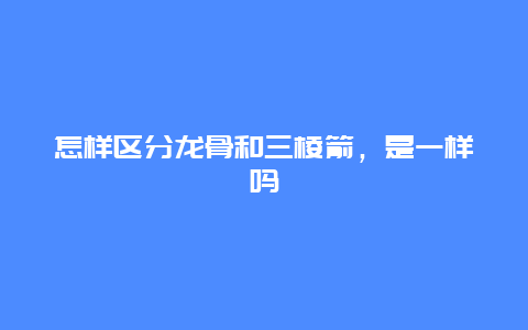 怎样区分龙骨和三棱箭，是一样吗