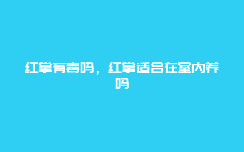 红掌有毒吗，红掌适合在室内养吗