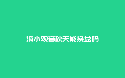 滴水观音秋天能换盆吗