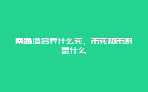 南通适合养什么花，市花和市树是什么