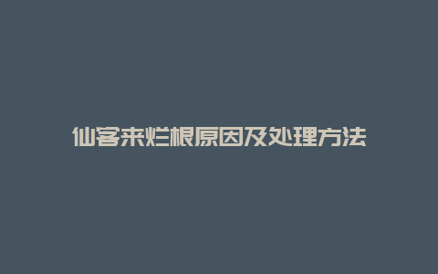 仙客来烂根原因及处理方法