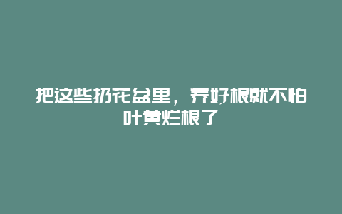 把这些扔花盆里，养好根就不怕叶黄烂根了