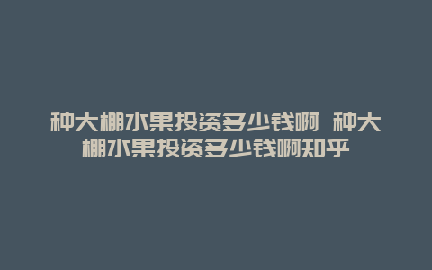 种大棚水果投资多少钱啊 种大棚水果投资多少钱啊知乎